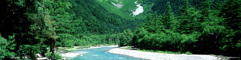 �J���_�ɐ��f���T�C�g